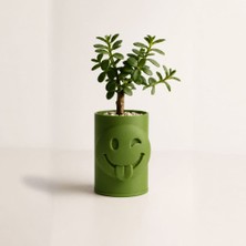 Bin1çeşit 3D Baskı Emoji Planter - Göz Kırpan Yüzlü Sukulent Saksısı-Yeşil