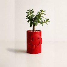 Bin1çeşit 3D Baskı Emoji Planter - Göz Kırpan Yüzlü Sukulent Saksısı-Kırmızı