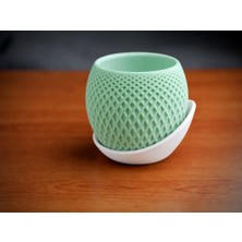 Bin1çeşit 3D Baskı Küre Saksı - Kafes Dokulu Iki Parçalı Dekoratif Saksı - Mint-Beyaz