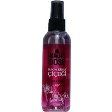 Str Store Japon Kiraz Çiçeği Kolonya 100 ml