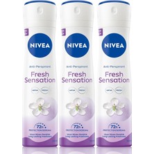 Str Store Fresh Sensation Kadın Sprey Deodorant 150 Ml,72 Saat Anti-Perspirant Koruma,uzun Süren Ferahlık X3