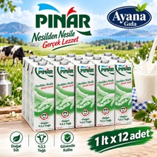 Pınar %3.3 Tam Yağlı UHD Süt 1lt x 12 Adet (En Güncel Tarıhler)