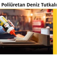 Happy Trend Pu Deniz Tutkalı 500 G