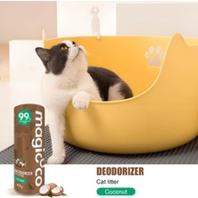 Str Store Hindistan Cevizli Kedi Kumu Koku Giderici 400 G