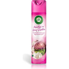 Bezos Aerosol Manolya 300ML 1 Adet
