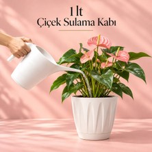 Kanyon Market 1 Lt Çiçek Sulama Kabı Kaliteli Plastik Kaktüs Orkide ve Çiçek Sulama Kabı