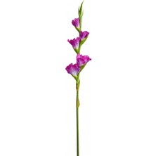Mikasa Moor Pembe Çiçek