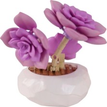 Belirtilmemiş P657061 Panlos Mor Sukulent Model 76 Parça Block Oyuncak