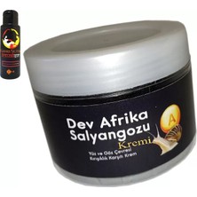 SBN - Store Giant Afrikasalyangozu Dev Salyangozyaşlanma Karşıtı 100ML + L.kamasutra Bayan Memeşekillendirici Krem 60 ml