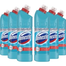 Happy Trend Yoğun Kıvamlı Çamaşır Suyu Formül Okaliptüs 750 ml X6