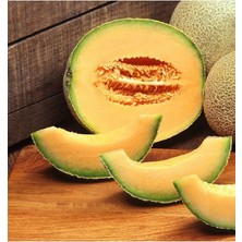 Fimer Dünyam 10 Adet Cantalupo Kavun Tohumu