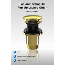 Fimer Paslanmaz Pop-Up Lavabo Gideri | Taşma Deliksiz Altın | Üniversal Sızdırmaz Somunlu