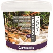 ReeFlowers Natural Tara Gravel Dere Kumu 1-2 mm Akvaryum ve Bitki Kumu 25 kg