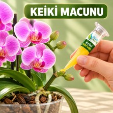 Keki Macunu Ithal Orjinal Ürün 1.5gr - Orkide ve Bitkiler Için Çoğaltma Hormonu Orjinal Cytokinin