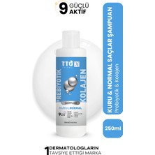 Tto-X Prebiyotik & Kolajen Kuru ve Normal Saçlar Şampuan 250ML (Glycerin,maltodextrin,triethanolamine)
