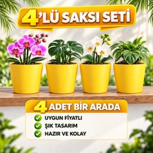 Dekoratif Sarı Orkide Saksısı - 4 Adet Set Fiyatlı - 12 Pot Üretim Saksısına Uygun Kaliteli Ürün