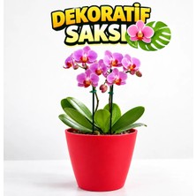 Dekoratif Saksı 12.5 cm | Canlı Kırmızı Renk | 1.25 Lt | Orkide ve Salon Bitkileri Için