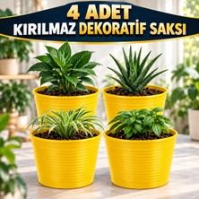 4 Adet Kırılmaz Dekoratif Saksı | 15 cm Üretim Saksısı Uyumlu | Tabaksız Kullanım