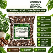10 Litre - Tropikal Bitki Toprağı Monstera - Alocasia - Schefflera Için Sinek Yapmayan Formül