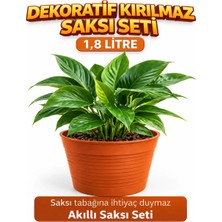 Akıllı 2'li Saksı Seti - Terracota Dekoratif Saksı + Şeffaf Üretim Saksısı | Drenajlı Kırılmaz