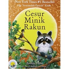 SBN - Store Cesur Minik Rakun