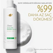 SBN - Store Şampuan Avocado Dökülme Karşıtı 375 ml