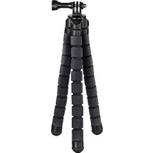 SBN - Store Prime "", 26CM