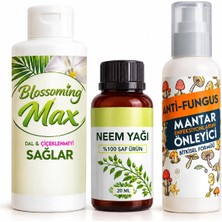 Blossoming Max, Plant Home %100 Saf Neem Yağı Anti-Fungus - Mantar Enfeksiyon Önleyici