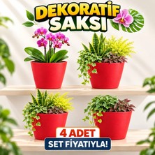 Modern Kırmızı Saksı Seti (4 Adet) | Orkide ve Ev Bitkileri Için