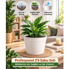 Akıllı 2'li Saksı Seti - Bone Beyaz Dekoratif Saksı + Şeffaf Üretim Saksısı | Drenajlı, Kırılmaz