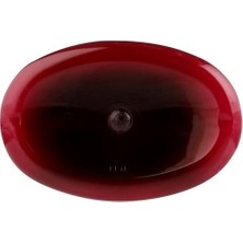 SBN - Store Prime Avalon Organics Temizleyici Süt, Kırışıklık Tedavisi, COQ10 ve Kuşburnu, 8,5 Oz