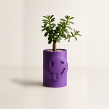 Maesko 3D Baskı Emoji Planter - Göz Kırpan Yüzlü Sukulent Saksısı-Mor
