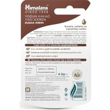 SBN - Store Prime Himalaya Yoğun Nemlendirici Dudak Kremi, Lip Balm, Kakao Yağı, Hint Yağı, BESLEYICI,%100 Doğal Renk, Silikon Içermez, 4,5 gr
