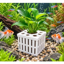 Cncman 3D 5x5 Akvaryum Bitki Saksısı