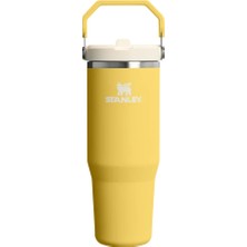 Stanley Iceflow Flip Straw Tumbler Pipetli Termos
