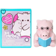 Neva Prime Pembe Kedi Sürpriz Paket