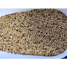 Hobibahçem Sude Life Muhabet Kuşu Yemi 800 gr