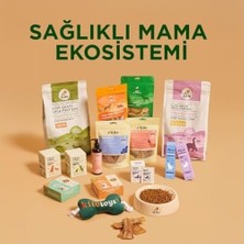 SBN - Store Prime Kito Toys Balık Peluş Kedi Oyuncağı