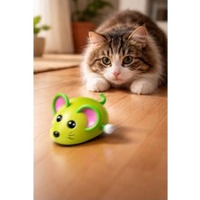 SBN - Store Prime Kurmalı Fare Oyuncak Kedi Köpekler Için Çok Renkli Hareketli Zeka Geliştirici Pilsiz Interaktif Evcil Hayvan Oyuncağı