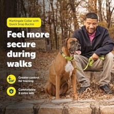 SBN - Store Prime Petsafe Hızlı Kopçalı Martingale Yaka, 3/4" Medium, Kırmızı