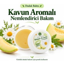 Herbal Therapy Kavun Aromalı Nemlendirici Dudak Balmı 20 ml – Papatya Özlü Yumuşatıcı Lip Balm