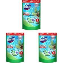 SBN - Store Prime Domestos Tuvalet Bloğu Çam Ormanı 5'li Güç, 250 Gram (3 Paketi)