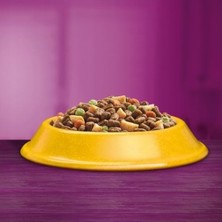 SBN - Store Prime Whiskas Tavuklu Kuru Kedi Maması, 14 kg