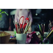 SBN - Store Prime Evrensel Solaklar Için, Toplam Uzunluk: 21 Cm, Paslanmaz Çelik Bıçaklar/plastik Saplar, Klasik, 1005147