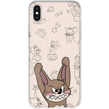 Mobilpad iPhone Xs Max Uyumlu Fare Desenli Şeffaf Telefon Kılıfı