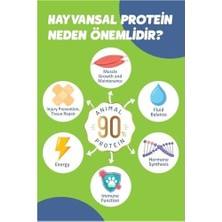SBN - Store Prime Yetişkin Somon'lu Süper Premium 1,5 kg Somonlu Kedi Maması - Hipoalerjenik - Düşük Tahıllı - Yüksek Hayvansal Protein Oranlı - Tüy Dökülme Engel