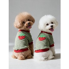 Kemique Çilek Tadında Köpek Sweatshirt – Kırmızı Yeşil - Sıcacık