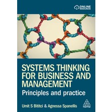 Step Kitap Systems Thinking For Business And Management: Principles And Practice
