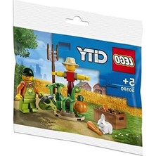 Frefly Store Bahçe Temalı 34 Parça Eğlenceli LEGO Seti ile Yaratıcılığınızı Geliştirin