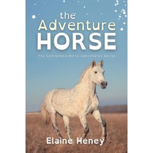 Step Kitap The Adventure Horse - Dyslexia Friendly
